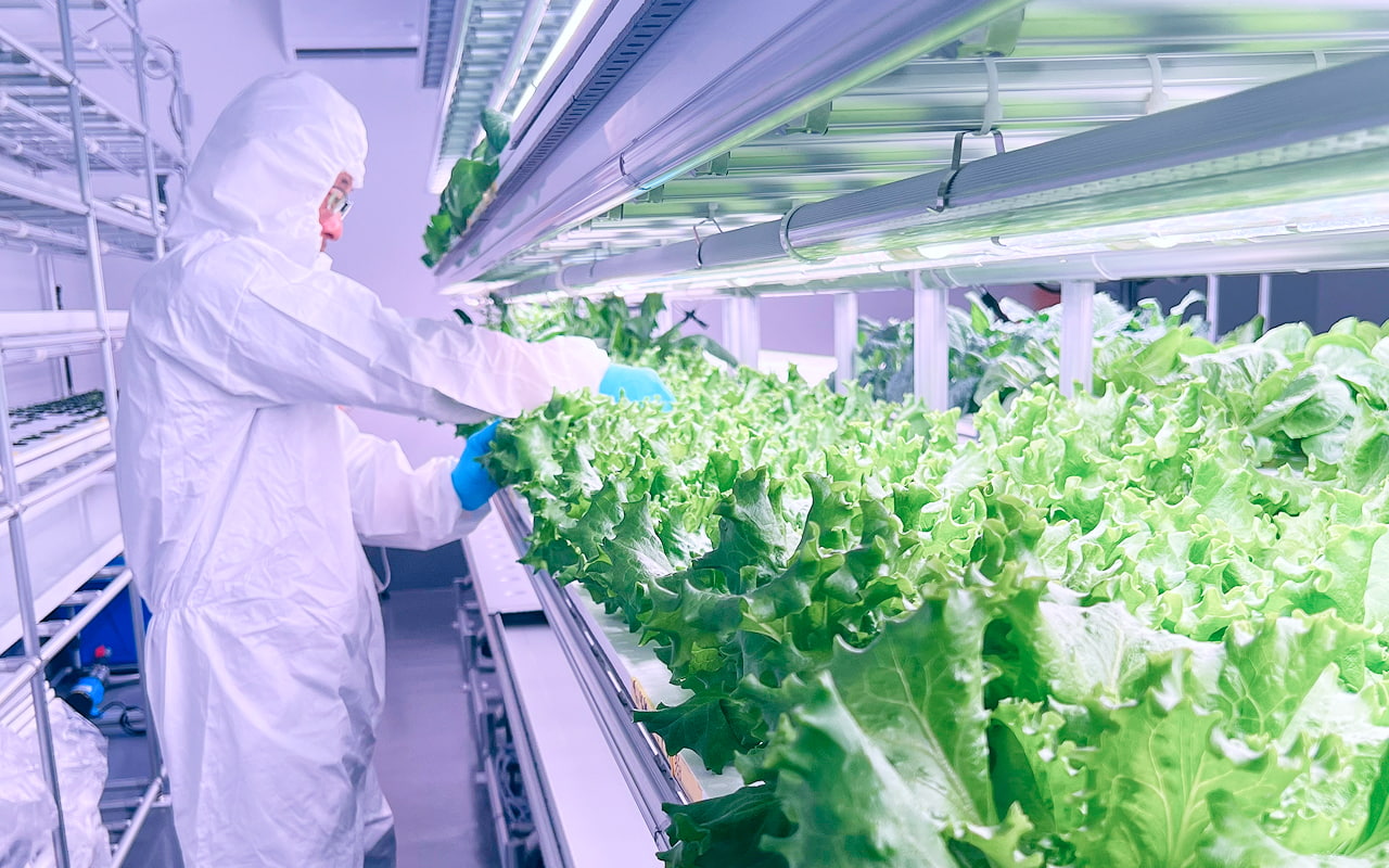 完全閉鎖型の植物工場