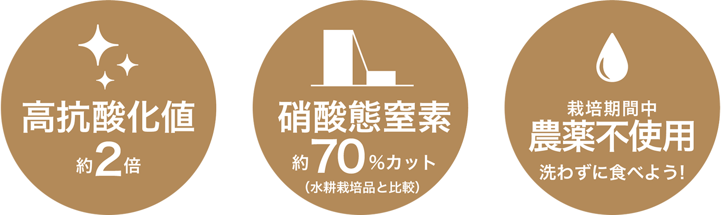 高抗酸化値約2倍 硝酸態窒素約70%カット 無農薬で安心 洗わずに食べよう！